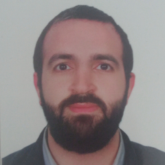 Anas Wardeh, Freelance Translator