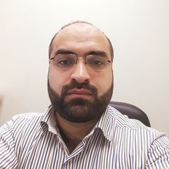 mohammad amro, Technology consulting
