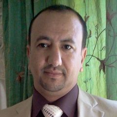 وائل الاديمي, مدير الشركة