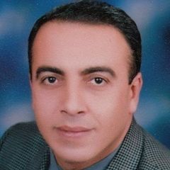 Mohammed Salah Mostafa, منسق الخدمات اللوجستية