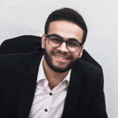 Abdelrahman Mahmoud, Accountant