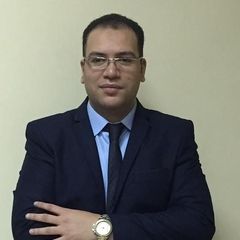 Diaa Abd Elghaffar Mohammed, Senior business system analyst