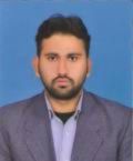 Waqas Ali Ali, Sales Exective officer