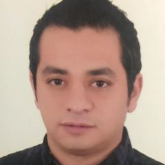 Hany Emam, Senior Sales