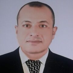 Mohamed  Salama Mohamed Mohamed Alshazly, مشرف موقع