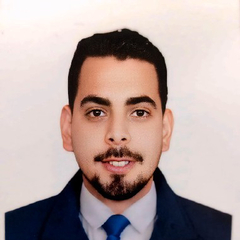 Amir Bakr