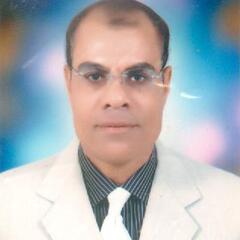 Hamed  Abd El Fattah Abd Elaleem  Elhefnawy, Automotive  spare parts sales  manager.