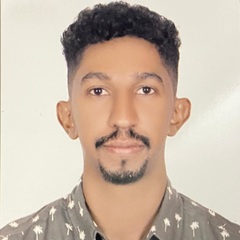 محمد الزين, Data Entry 