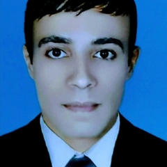 Ahmed Youssif, Customs Broker 