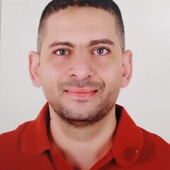 Hossam abdel hady abdel ghany, Credit Control Supervisor