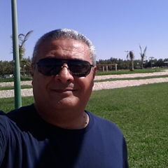 Ehab helmy, senior project's manager
