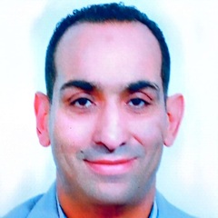 ياسر  حمادة فر غلى , Business development executive 