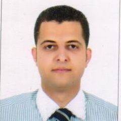أحمد Fawzy Mahrous, District manager