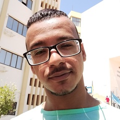 Ahmed Abd Elhakim 