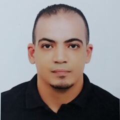 Mohamed Nabil, Projects Director
