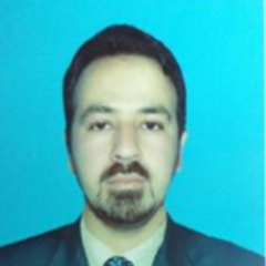 محمد Taqi, Facilitation and management of tax and accounts  and auditing 