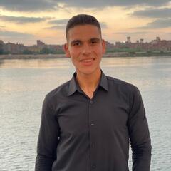 Mahmoued tawfek, Junior accountant