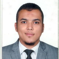 Mohamed Roshdy Abd El Hakim khalifa