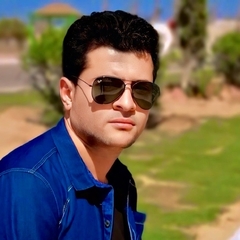 Ahmed Ziedan