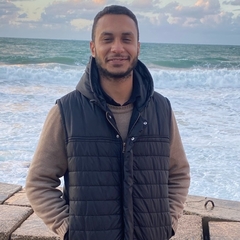 Mohamed  Hassan Ali