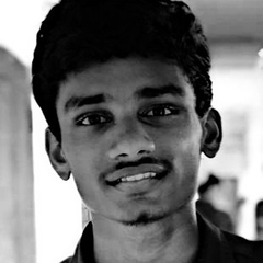 Shahul  Hameed, web developer
