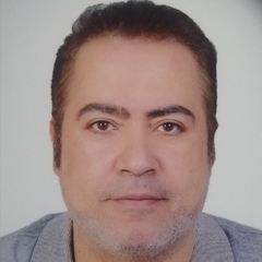 Mohamed  Mostafa 