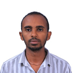 estifanos kidane, Sales engineer 