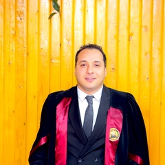 احمد حله, sales senior