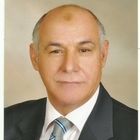 Sarwat Abdel Hamid El Sadek Mohamed (Sarwat Badran), Regional Advisor