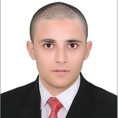 Abdalla Ali Mohamed Hegazy, Property Consultant