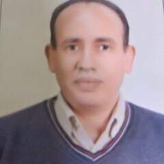 Hassan Abdelhakem Mohamed Nouh, مدير موارد بشريه