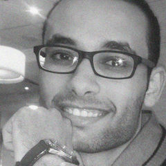 Ahmed Lotfy Fahmy Abdel Mohsen, Web developer