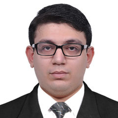 Ali Zakir Jeddy, Business Development Executive