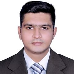 Sony Saji Abraham, Process Expert