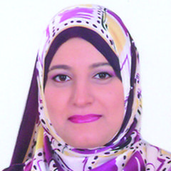 Amany Kandil, Assistant professor