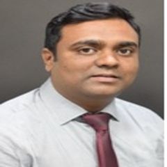 Vinay Hassan Ramachandra, Senior Business Analyst