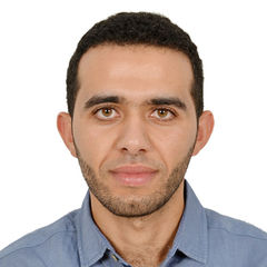 ISLAM ELGOHARY, SITE MANAGER