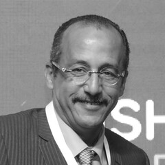هشام أحمد, Contractor
