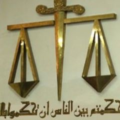 hassaan elhefnawy, استشارات قانونية والمحاماة
