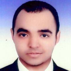 Mohamed Refaey, Treasury Accountant Specialist