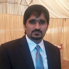 syed raheel haider rizvi