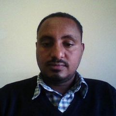 Mohammed Yibre, English Language Education Specialist 