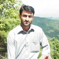 Nizam Ullah, Dot Net Developer