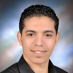 Islam Abdelhalim Mohamed Abdelsalam, accountant