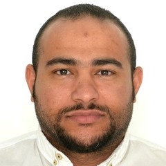 Mohammed Abdeldayem, Resident Marine Civil Engineer