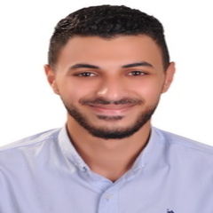 أحمد محمد السيد عبدالله, مصمم شخصيات و تحريكهم