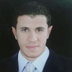 احمد عبد الحميد محمد, محاسب