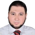 محمد النجدي, IT manager