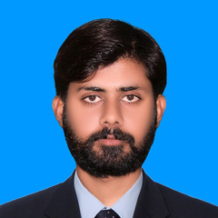 Syed Muhammad Waqar Ali