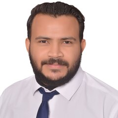 عبد الله ربيع, Data Analyst